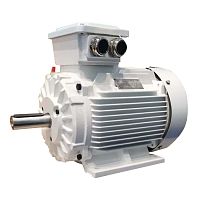 3-phase torque motor YE4 seriesasynchronousIP54IP55
