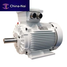 3-phase torque motor YE4 seriesasynchronousIP54IP55