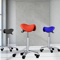 Healthcare facility stool dentallaboratoryfor veterinary facilities