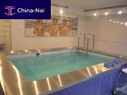 Indoor swimming pool above-groundstainless steelmosaic