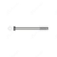 Titanium implant screw T48020
