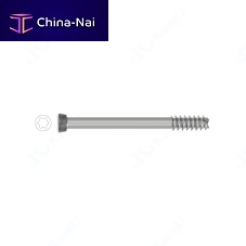 Titanium implant screw T48020