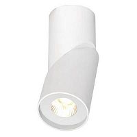 Surface mounted downlight PURE 70 : DO20221LEDroundindoor