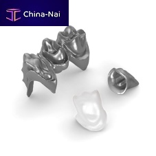 Titanium dental prosthesis CoCrPMMAzirconia
