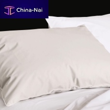 Rectangular pillow home