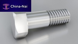 Clamping bolt TR00002866-100with hexagonal headzincshoulder