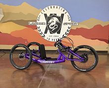 Crank-propelled recumbent trike ARCepediatricmagnesiumpurple
