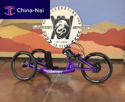 Crank-propelled recumbent trike ARCepediatricmagnesiumpurple