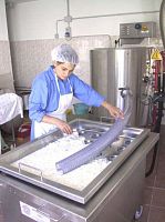 Cheese production line MALGAMATIC