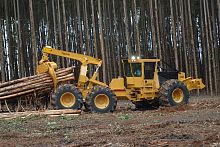 Forestry skidder 635Dwith grab