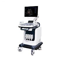 3D/4D ultrasound system Cheap Laptop 3d Color Doppler Systemon-platformcolor dopplerspectral doppler