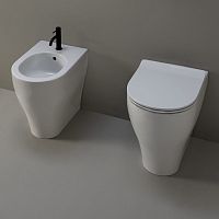 Back to wall toilet AP113RSceramicrimlessfor handicapped