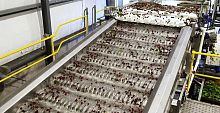Conveyor system for the food industry