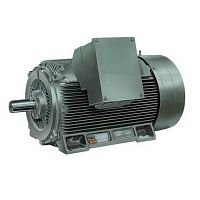 High-voltage motor Y2asynchronousIP55IP54