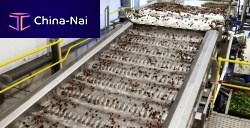 Conveyor system for the food industry