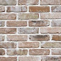 Solid brick VIRGINIAfor facadefor wallfor partition wall