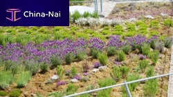 Extensive green roof system for flat roofwaterproof