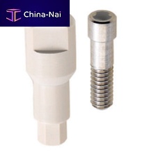 PEEK implant abutment WINSCAN®straight