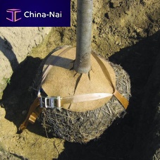 Above-ground rootball fixing system GGB SERIESunderground