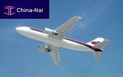 Airplane model Airbus A300s