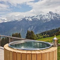 Cedar Nordic hot tub SSHT 150stainless steelhomecommercial