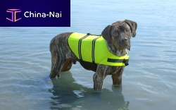 Pet buoyancy aid