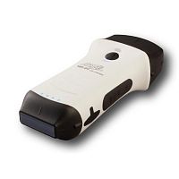 Hand-held ultrasound system CERBERO 4.0 for multipurpose ultrasound imagingB/Wcolor doppler