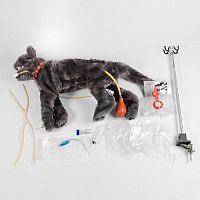 Critical care training manikin FLUFFYCPRbandagingfeline