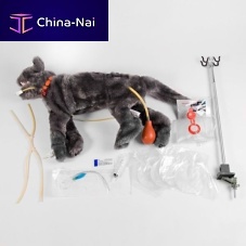 Critical care training manikin FLUFFYCPRbandagingfeline