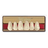 Acrylic dental prosthesis Alfaluxanterior teethposterior teeth