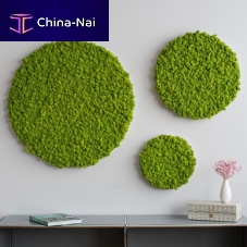Ball preserved moss SG-KR-ISfor living framepanel