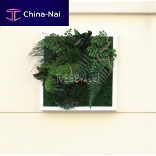 Preserved living frame NATUREfoliagemossindoor