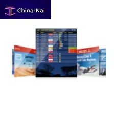 Airport flight information display system InSIGHT