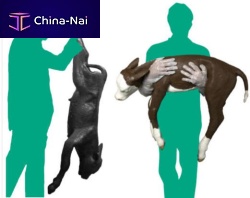 Veterinary training manikin for dystociacattlered