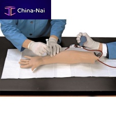Training simulator Life/formpuncturepalpationmonitoring