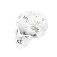 Non-absorbable cranial fixation system MatrixNEURO