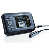 Portable veterinary ultrasound system SIFULTRAS-4.41multipurposefor swinefor felines