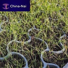 Recycled plastic grass grid ECCODAL HD