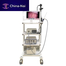Video veterinary laparoscope VET-0305Ywith integrated video monitorwith working channel