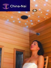 Contemporary ceiling light plasticLEDfor sauna