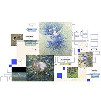 Interoperability software ArcGIS Data managementcustomer relationshipCRM