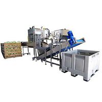 Root vegetable processing line S80cabbagefor salad