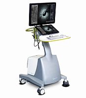 On-platform ultrasound system Gentuity®for cardiovascular ultrasound imagingB/Wtouchscreen