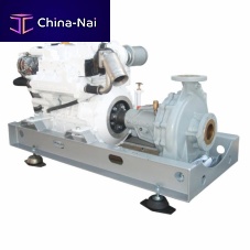 Boat engine-driven pump