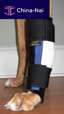 Carpal tunnel veterinary splint J1004QL