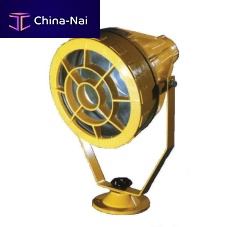 LED floodlight RLEE series