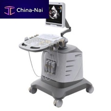 On-platform ultrasound system 9900PLUSfor multipurpose ultrasound imagingB/Wcolor doppler