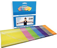 Resistance band with handles