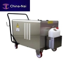 Electric steam cleaner SATURNO SPECIAL 2 Phosphatemobilestainless steelindustrial