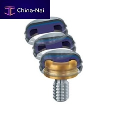 Titanium implant abutment internalstraightscrew